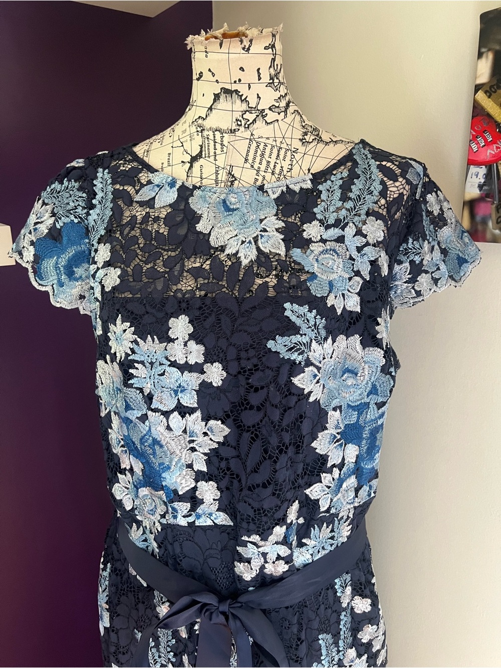 Adrianna Papell Navy Plus Size Maxi Gown with Blue Floral Embroidery - Picture 2 of 11